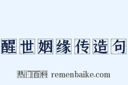 醒世姻缘传造句是什么意思的图片